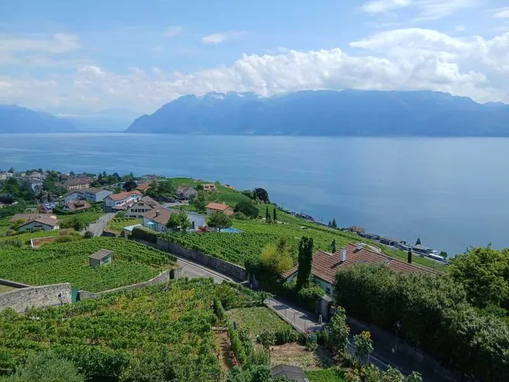 Losanna città simbolo del cammino, tra pellegrinaggi e Olimpiadi