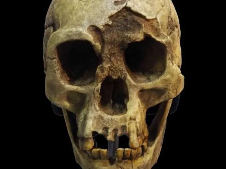 Così si estinsero gli hobbit: la triste storia dell'Homo floresiensis
