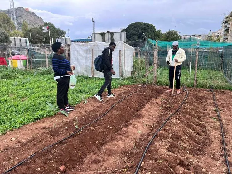 Gli orti di Palermo affidati ai migranti: anche così si fa integrazione