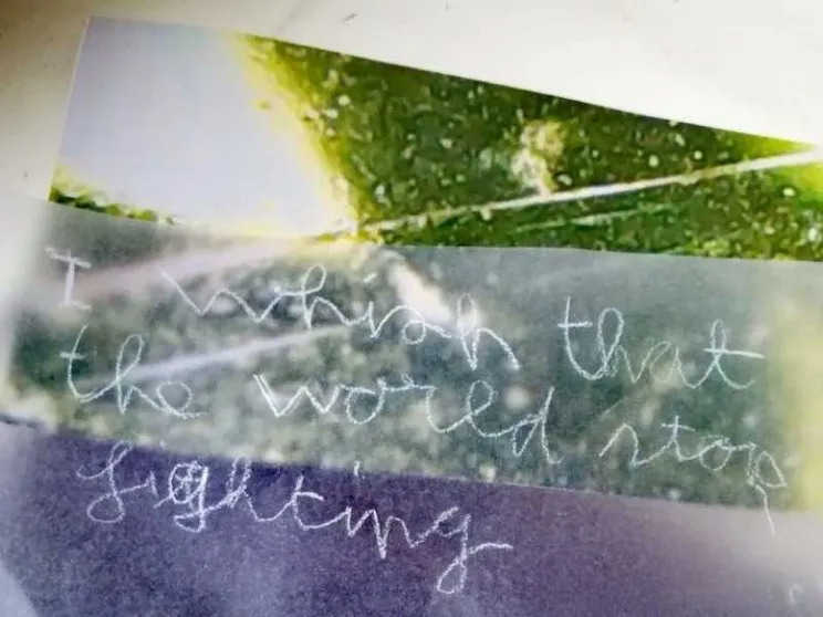 "I wish that the world stop fighting / Vorrei che il mondo smettesse di combattere"