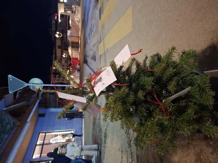 L'albero coi biglietti sistemato davanti al locale