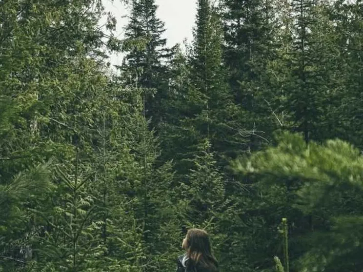 Basta guardarla per stare meglio: la forza curativa della natura