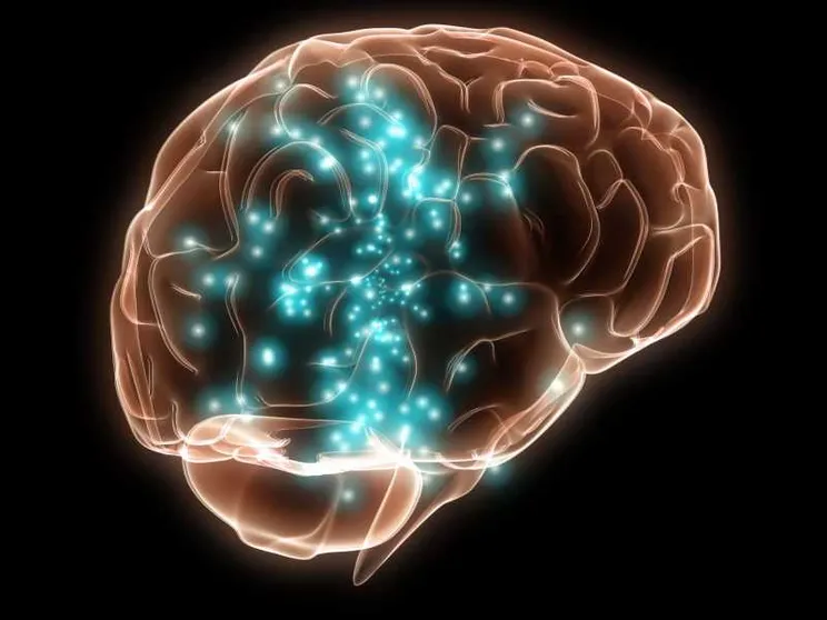 Ecografie e ultrasuoni: per le terapie neurologiche arriva Merge, rivale di Neuralink
