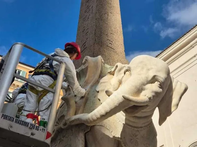 Elefante di Bernini restaurato dopo il distacco della zanna