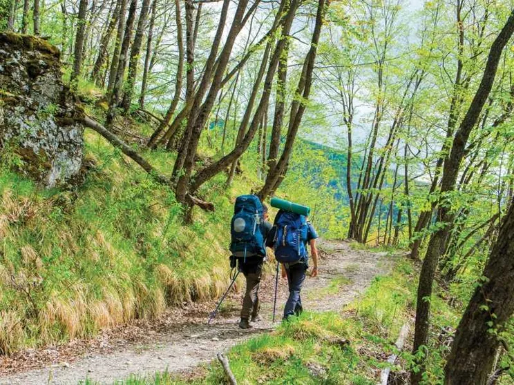Boom dei cammini, sulle vie del turismo lento l'Italia corre: nel 2025 oltre 300mila viandanti