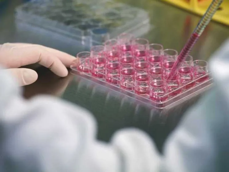 Terapia genica e farmaci con Rna, dal Pnrr successi italiani. «Ma ora va data continuità»