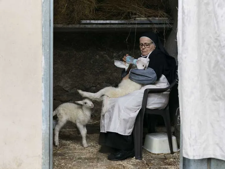 "Agnus Dei", arrivano in sala gli agnellini del Papa