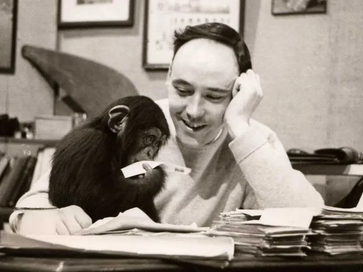 Addio a Desmond Morris. Con "La scimmia nuda" rimise l’uomo dentro lo zoo