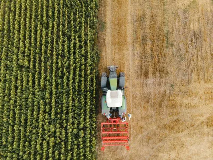 L’IA al lavoro anche nei campi: aiuta in chat gli agricoltori