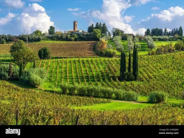 Il panorama del Chianti, in Toscana, sempre ricercato dai turisti