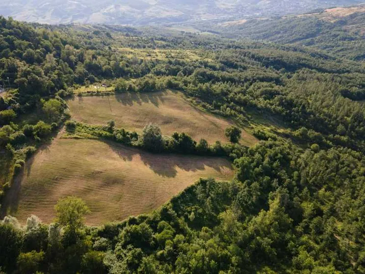 Nasce la Scuola dei mestieri della terra