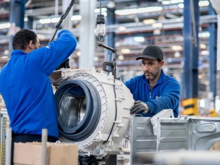 Perché Electrolux è sempre più un caso nazionale