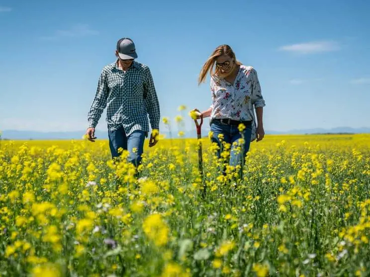Un contratto per il lavoro dignitoso e per il dovuto protagonismo dei lavoratori agricoli
