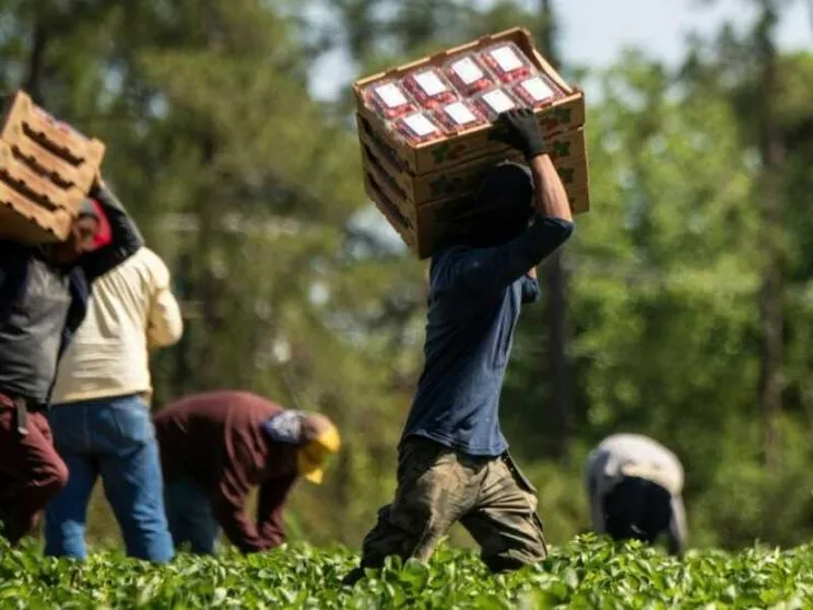 Operai, braccianti, rider: la corsa delle Regioni a tutelare i lavoratori dal caldo estremo (di maggio)