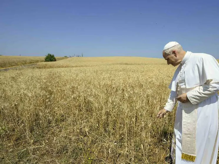 Leone XIV accelera sulla svolta verde del Vaticano: nasce la Fondazione “Fratello Sole”