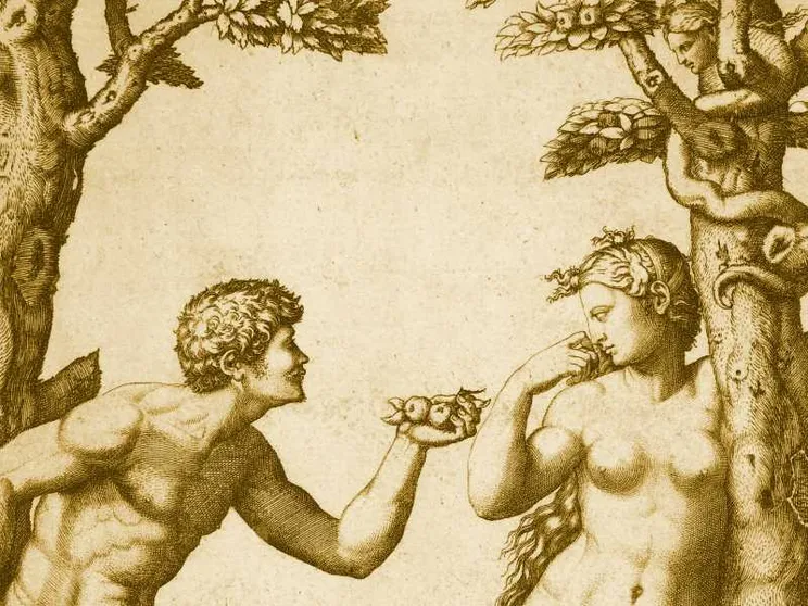 I due alberi del giardino della storia