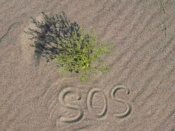 Il Po a secco, i campi del Delta senza irrigazione: l'emergenza siccità è all'inizio