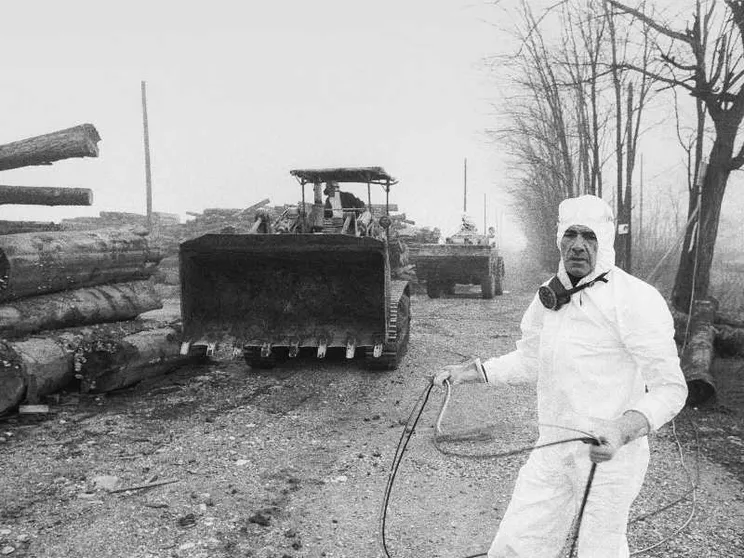 La diossina e Seveso: il racconto della catastrofe 50 anni dopo