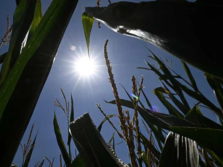 Il mare scotta e giugno è stato il secondo più bollente di sempre: il punto sul caldo