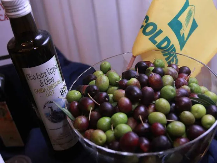 Nuove norme per le etichette evo: l'olio extravergine non potrà essere miscelato