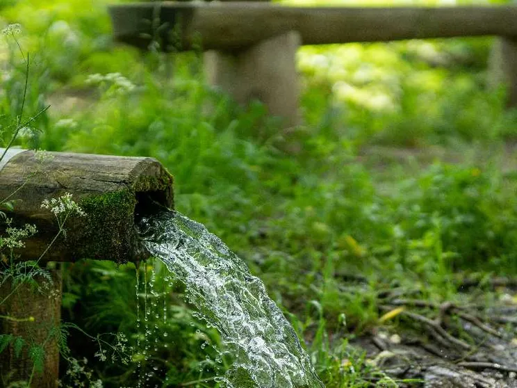 «Abbiamo bisogno di un’altra acqua minerale?»: la sorgente che divide la Valle d'Elvo