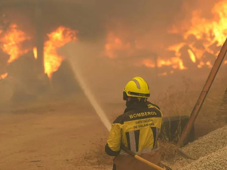 L'Europa in fiamme: 270mila sfollati tra Francia e Spagna, Bordeaux sotto assedio