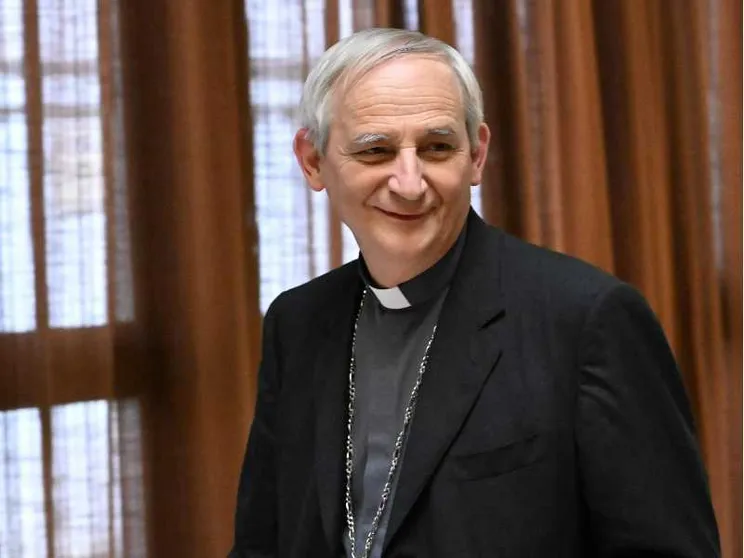 Il cardinale e presidente della Cei Matteo Zuppi / ANSA