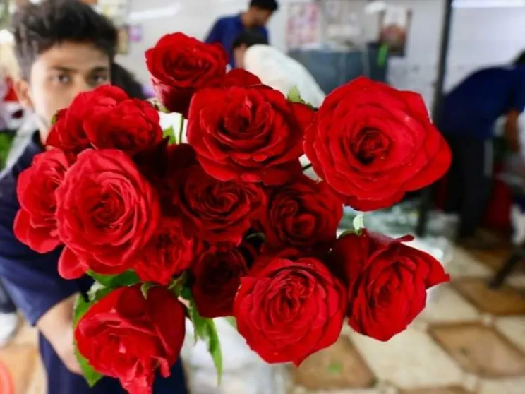 «Vuoi una rosa?»: viaggio nel racket dei venditori, sfruttati e stipati in case-pollai