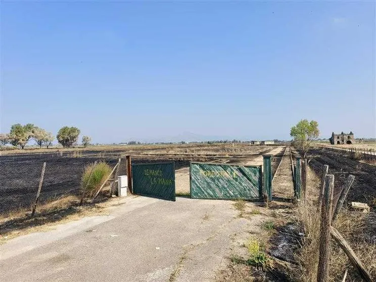 Castel Volturno, sull'incendio che distrugge il Parco La Piana c'è l'ombra del dolo