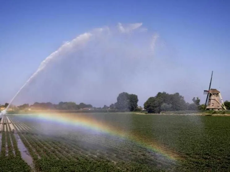 Il clima estremo ha effetti pesanti sui campi e sui prezzi: ecco quali