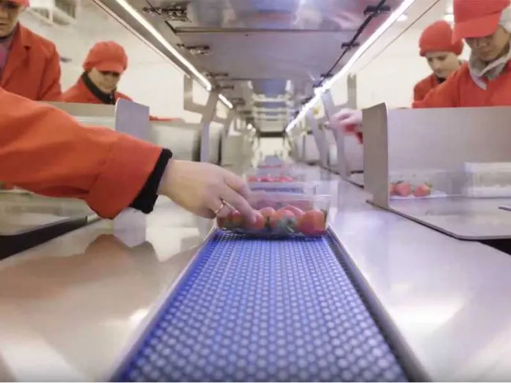 Scatta la stretta sugli imballaggi, meno Pfas a contatto col cibo