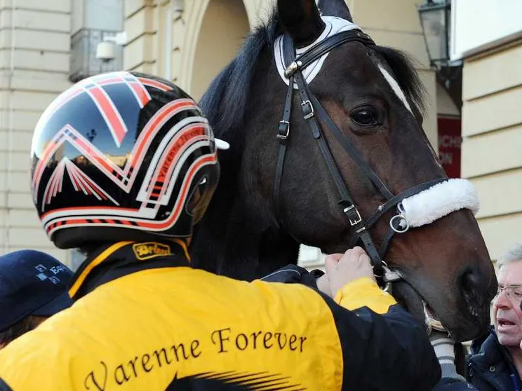 Il cavallo Varenne durante una sfilata nel 2010 in piazza Castello a Torino / ANSA