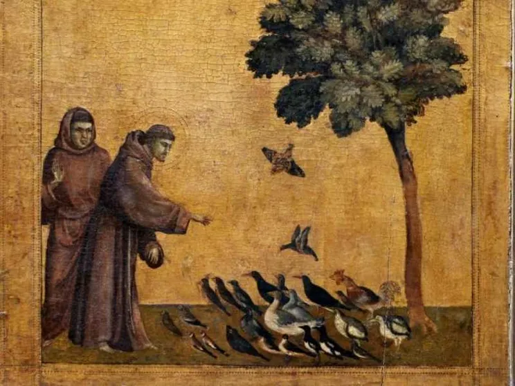 Il canto degli uccelli, l’umiltà in note. Quando la Creazione diventa musica