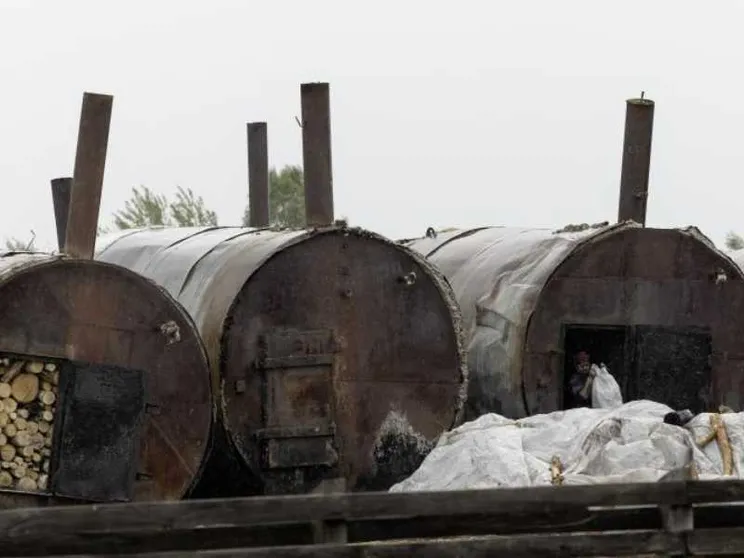 Dall’Ucraina all’Europa, il caso della carbonella da barbecue che brucia nell’illegalità