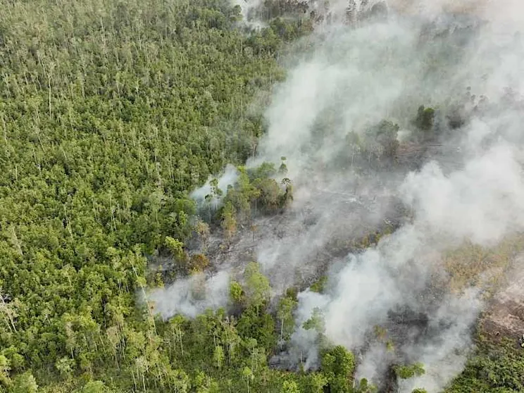 Colonne di fumo si alzano da un incendio boschivo in un'area di torbiera a Bulungan in Indonesia