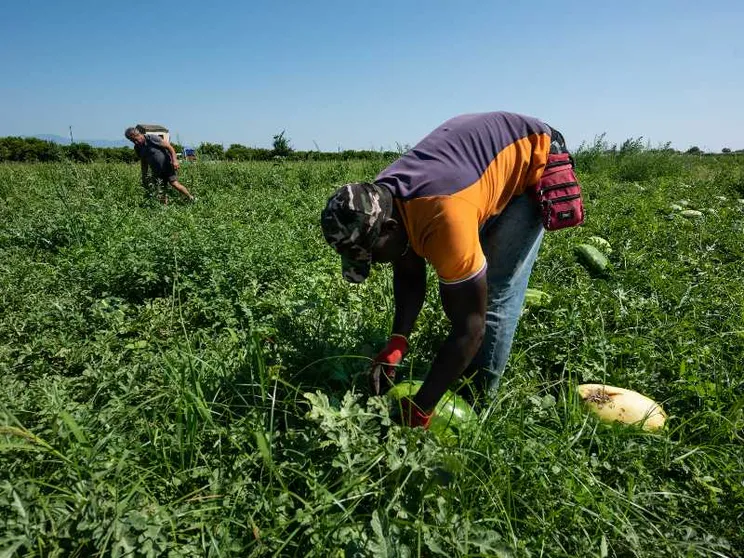 L'Italia incasserà 230 milioni di euro all'anno dai contributi dei nuovi lavoratori stranieri