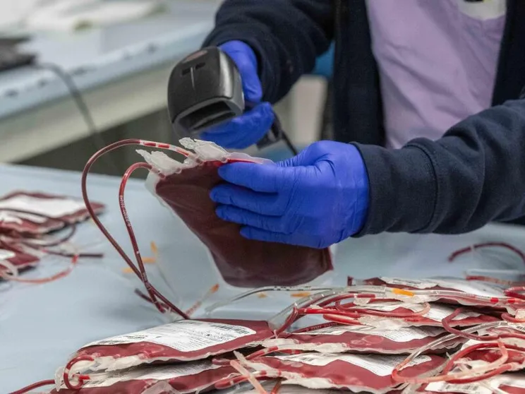 Donazioni di sangue all'ospedale Niguarda di Milano / ANSA