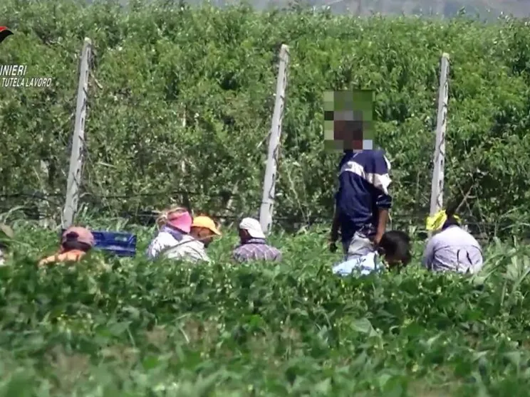 Il coraggio di denunciare: così 17 lavoratori hanno incastrato una rete di caporali