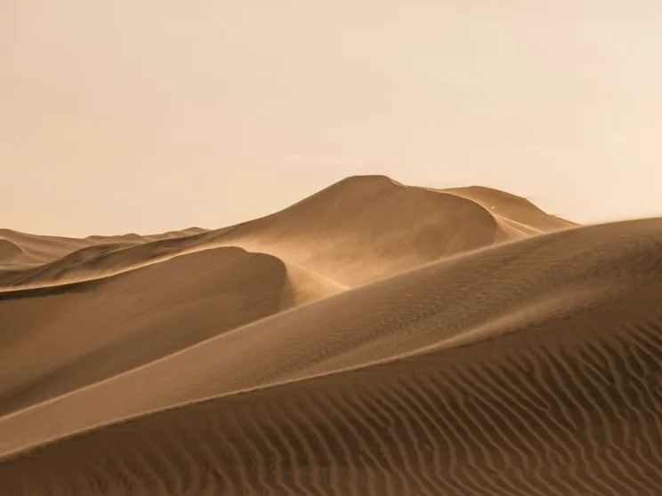 Non risposte ma domande: che cosa ci insegna il silenzio dei Padri del deserto