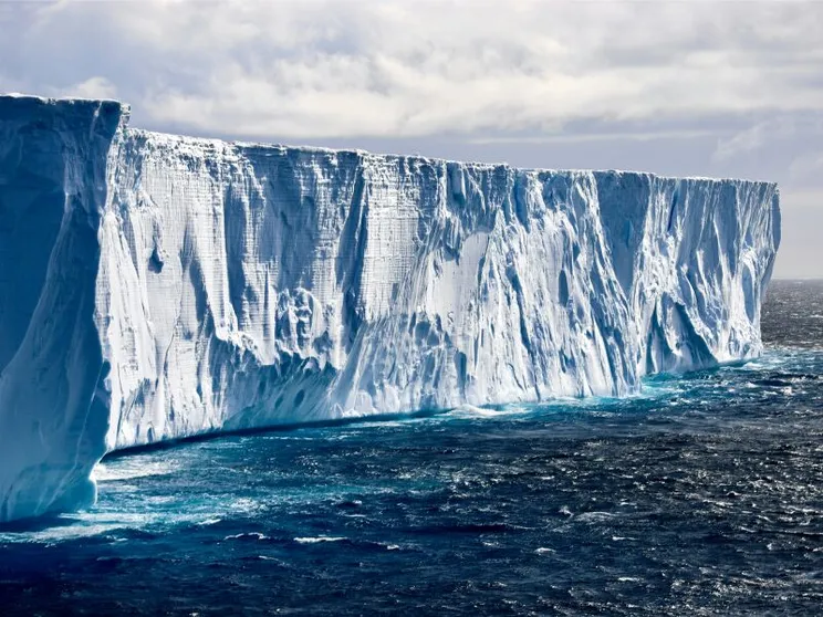 Artico e Antartide, laboratori naturali in pericolo