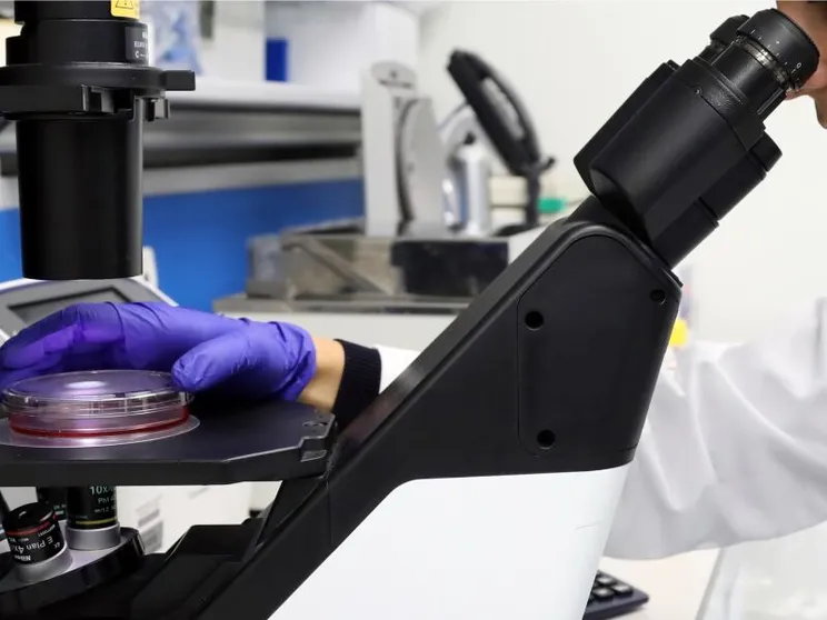 In Francia rilevato il virus Shamonda in un essere umano: è la prima volta. Cosa c'è da sapere