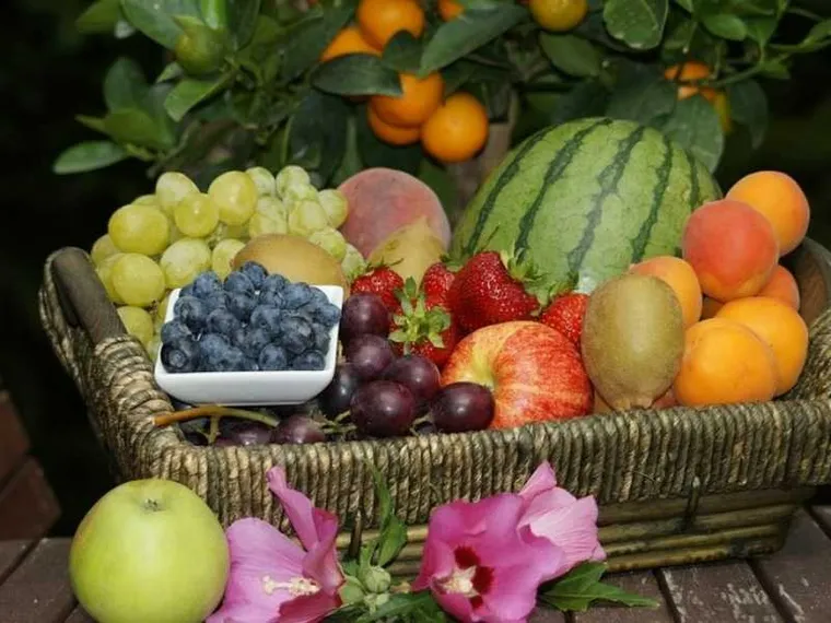 Il cesto delle fatiche dolci: la sinfonia d’estate delle giovani famiglie