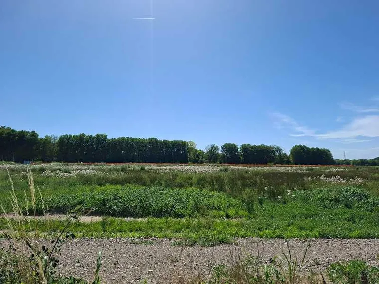 Tra Milano e Pavia si moltiplicano i comitati anti-data center. Ma c'è chi li difende