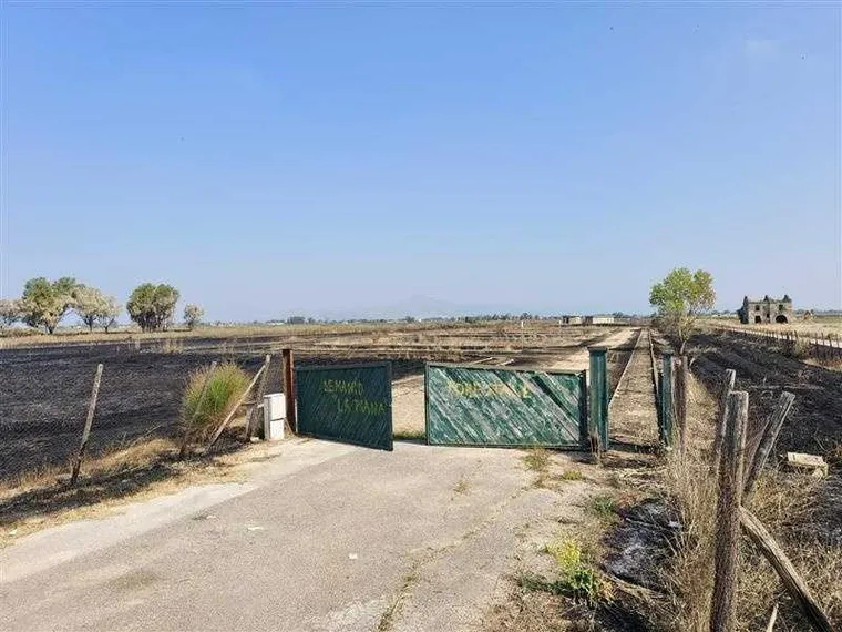 Castel Volturno, sull'incendio che distrugge il Parco La Piana c'è l'ombra del dolo