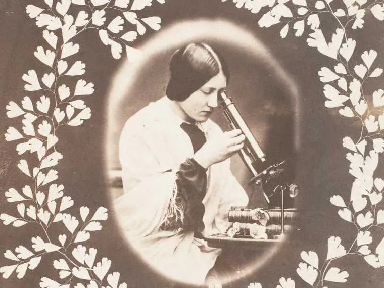 Curare, conoscere, trasformare: la medicina plurale delle donne