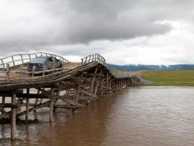 Ti raduno il gregge con l’auto elettrica. Lo strano caso delle ibride in Mongolia