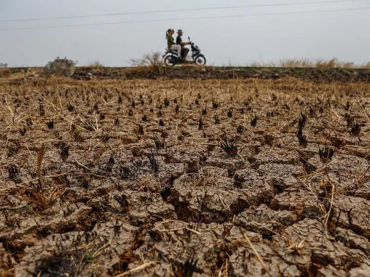 Il cambiamento climatico mette a rischio l'approvvigionamento di cibo: il report-choc degli 007 inglesi