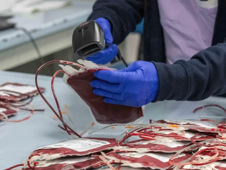 Donazioni di sangue all'ospedale Niguarda di Milano / ANSA