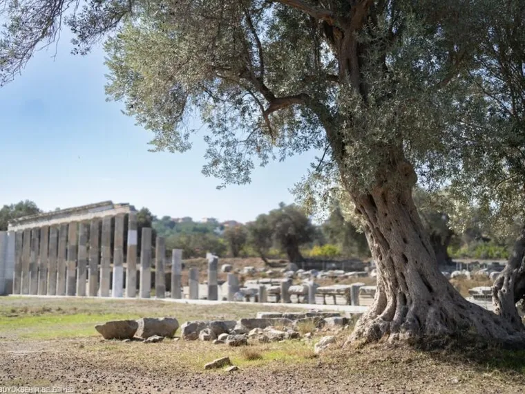 Nell'antica Grecia i maestri di musica guadagnavano più di tutti. E a scuola andavano anche le ragazze
