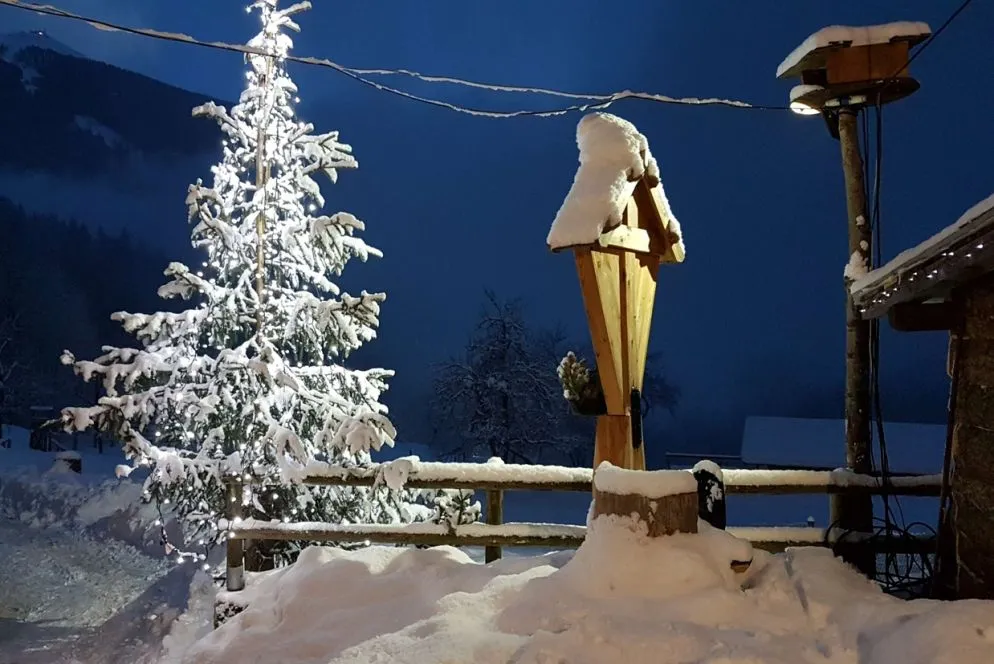 Alcuni dei presepi esposti sono scavati nel legno che viene raccolto nella pineta intorno al fiume Sarca, altri sono realizzati con materiale di recupero, altri al tombolo, con pigne secche, o ricevuti in prestito da collezioni private